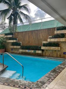una piscina con escaleras y una palmera en Aquilo Penthouse en san andres en San Andrés