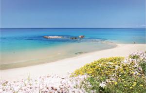 a beach with a group of animals in the water at Beach Front Home In Ca- With Wifi in Monte Nai