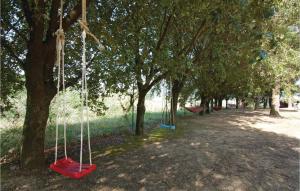 a row of swings hanging from trees in a park at Casa Grande in Torricella
