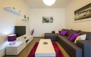 uma sala de estar com um sofá e uma televisão em Cozy Apartment In Novigrad With Kitchen em Novigrad Istria