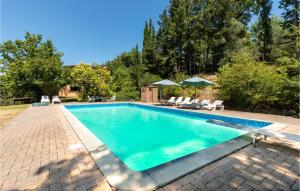 San GiustinoにあるAwesome Home In San Giustino Pg With 4 Bedrooms, Private Swimming Pool And Outdoor Swimming Poolの庭園内のスイミングプール(椅子、パラソル付)