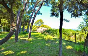 a group of trees in a yard with a fence at Amazing Home In Sauveterre With Wifi in Sauveterre