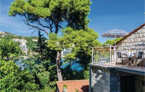 Blick auf einen Baum von einem Gebäude mit Balkon in der Unterkunft Nice Apartment In Dubrovnik With Kitchenette in Dubrovnik