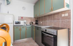 uma cozinha com armários verdes e um fogão forno superior em Beautiful Apartment In Privlaka With Kitchen em Privlaka