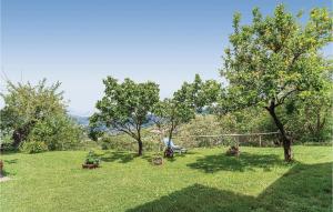 a yard with trees and a hammock in the grass at Awesome Apartment In Castellabate Sa in Castellabate