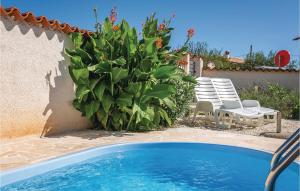 a yard with a pool and chairs and a plant at Lovely Home In Hreljici With Kitchen in Hreljići