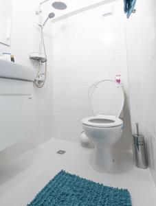 a bathroom with a toilet and a blue rug at Adriano’s studio Gabrovo in Gabrovo