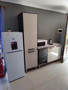 una cucina con frigorifero bianco e forno a microonde di Moholoholo Lodge ad Acornhoek
