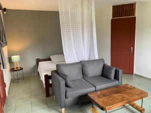 a living room with a couch and a bed at Spacieux Appartement T1 bis Mamoudzou hyper centre in Mamoudzou