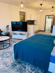 TV a/nebo společenská místnost v ubytování Ferienwohnung Emma an der Romantischen Straße