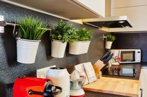 un bancone della cucina con piante in vaso su un muro di Lovely & bright Bogatell beach apartment a Barcellona