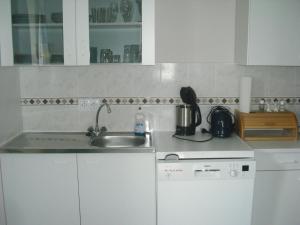 a kitchen with a sink and a counter top at Ferienwohnung an der Elbe in Bleckede