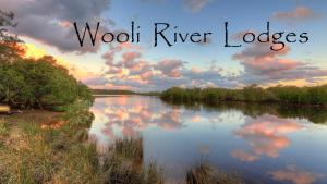 a painting of a river with a bunch of trees at Wooli River Lodges in Wooli