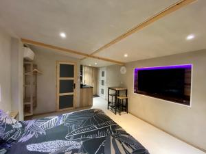 a bedroom with a large flat screen tv on the wall at LE STUDIO,Superbe appartement meublé avec terrasse in Foucherans