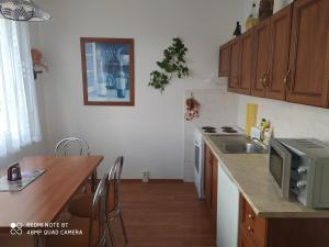 eine Küche mit einer Spüle und einer Theke mit einer Mikrowelle in der Unterkunft Apartmán v Srní in Srní
