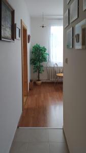 Foto sihtkohas Srní asuva majutusasutuse Apartmán v Srní galeriist
