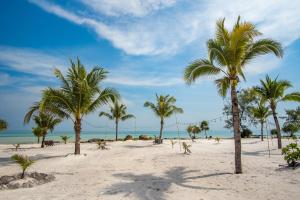 Pantai di atau di dekat hotel