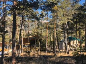 a camp site in the woods with trees at Parc Résidentiel de Loisir : Le Loup Blanc du Riou in Barcelonnette
