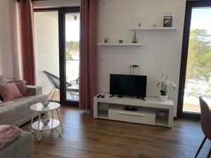 Televisyen dan/atau pusat hiburan di Apartman Borovi Divčibare