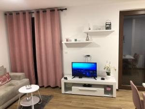 Televisyen dan/atau pusat hiburan di Apartman Borovi Divčibare