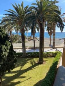 um parque com palmeiras na praia em Las Palmeras em Algarrobo