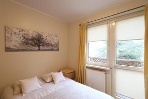 1 dormitorio con cama y ventana en Wood Creek Apartments, en Wroclaw