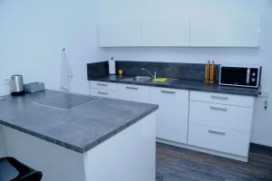a white kitchen with a counter and a microwave at Bonsai-Ferienwohnung in Bad Laer