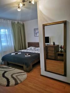Postel nebo postele na pokoji v ubytování Casa de oaspeti Wallendorf Bistrita Unirea