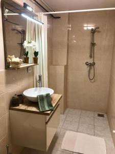 y baño con lavabo y ducha. en Alenso Guesthouse en Hévíz