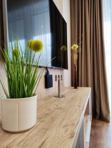 Fotografia z galérie ubytovania Spa Residence Carbona Siesta Apartman v destinácii Hévíz + 37 fotografií