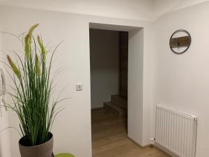 Kép Schusterbrand Appartements szállásáról Absamban a galériában