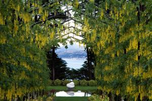 a park filled with lots of trees and shrubbery at Larnach Lodge & Stable Stay in Dunedin