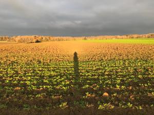Fotografie z fotogalerie ubytování La Suite Cosy - Votre Pause Arborée v destinaci La Bruyère