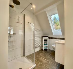 a bathroom with a shower and a toilet at Apartmenthaus RuheZeit in Bad Endbach