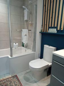 e bagno con doccia, servizi igienici e vasca. di Charming lodge cosy comfortable ideal location a Blairgowrie