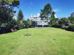 a small tree in the middle of a grass field at Apartamento de un dormitorio en Edificio "Luna de Mar" in Punta del Este