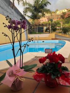 Deux vases avec des fleurs sur une table à côté d'une piscine dans l'établissement Casa das Palmeiras, à Calheta