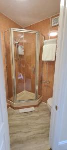 a bathroom with a shower and a toilet at Glen Garth Guest House in Chester