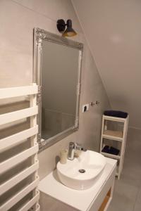 ein Bad mit einem Waschbecken und einem Spiegel in der Unterkunft DOM Miodu i Wina in Muszyna