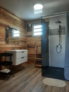 y baño con ducha y lavamanos. en Bungalow Tillandsia en Le Tampon