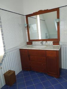 ein Bad mit einem Waschbecken und einem Spiegel in der Unterkunft Belle vue sur mer in Saint-Michel-en-Grève
