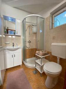 a bathroom with a shower and a toilet and a sink at Guest House Renata in Plomin