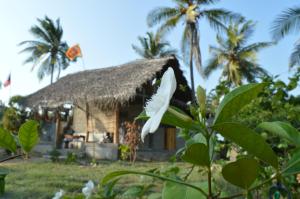 Afbeelding uit fotogalerij van Plastic Bottle House - Dune Towers in Kalpitiya