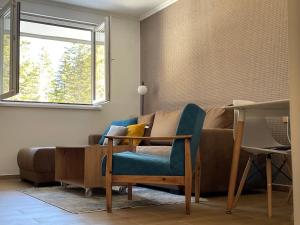 a living room with a couch and a window at Vili.Kop studio in Kopaonik