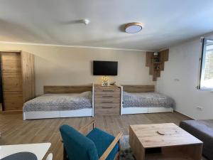 a living room with two beds and a tv at Vili.Kop studio in Kopaonik