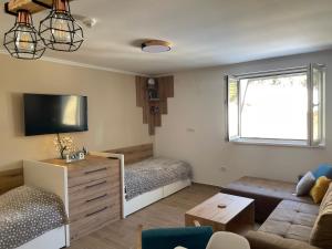 a living room with a couch and a bed at Vili.Kop studio in Kopaonik