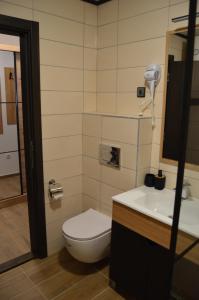 a bathroom with a toilet and a sink at Vili.Kop studio in Kopaonik +14 photos