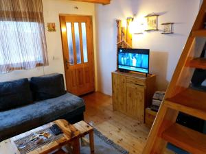 a living room with a couch and a flat screen tv at Vila Borovi in Zaovine