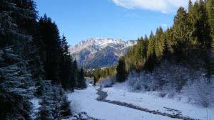 Príroda v okolí apartmánu