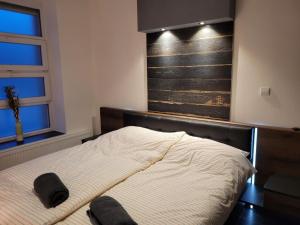 - une chambre avec un lit et une fenêtre dans l'établissement Lovely Apartment with free parking, à Kecskemét